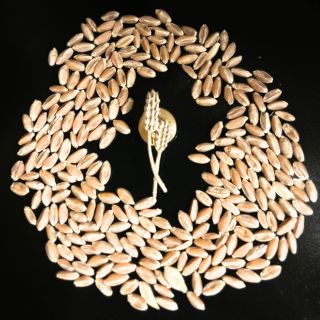 Wheat Lapel Pin