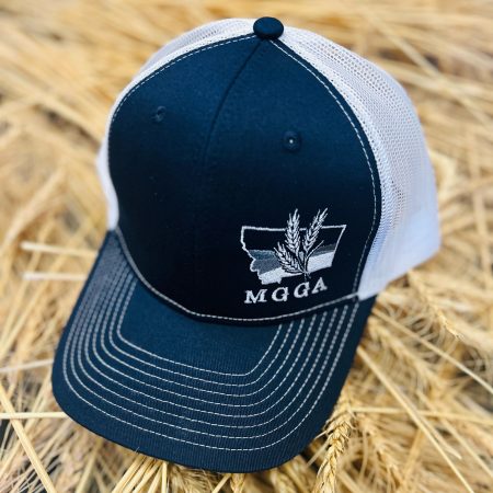 Navy & White Snapback