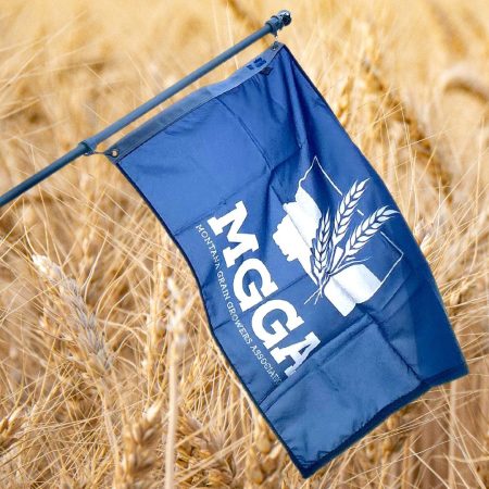 MGGA Flag